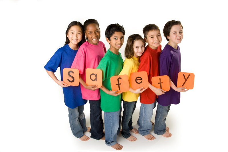Safety Team 