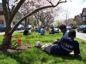 Noticing and Wondering Magnolias