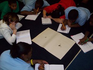 Noticing Macroinvertebrates