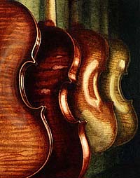 violins 
