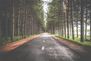 Let's Continue Your Journey Together To Success 
