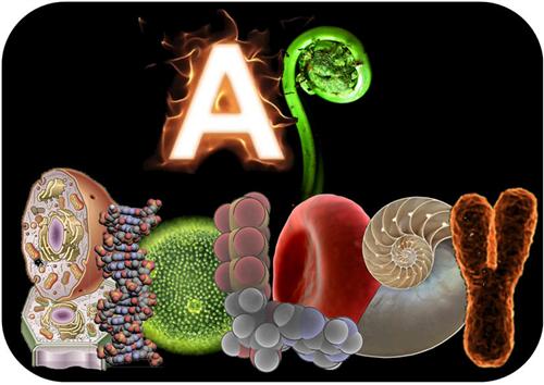 ap biology 
