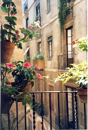 mi ventana