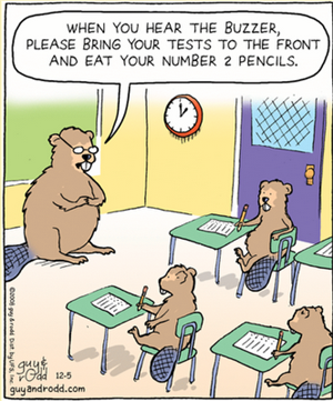 testing cartoon 