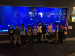 Museum Trip 
