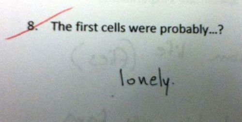cells 