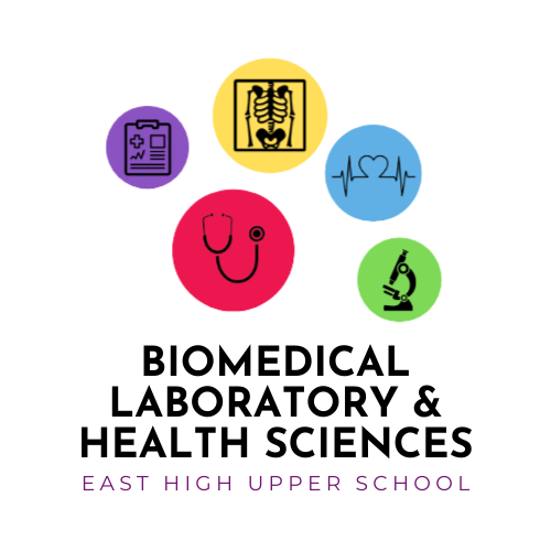 BLHS 