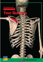 skeleton 