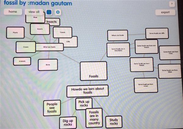 Lucyshyn, L / Fossil Concept Maps