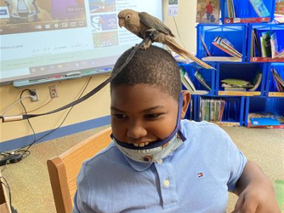 Meeting Story, our library bird