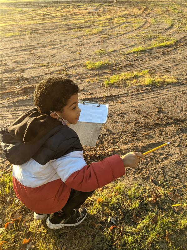 Studying Nature