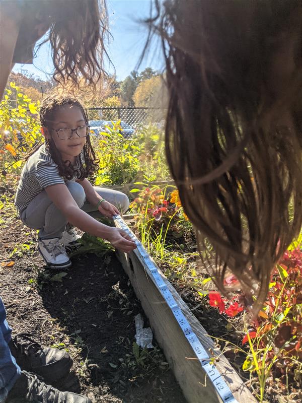 Measuring our Gardens